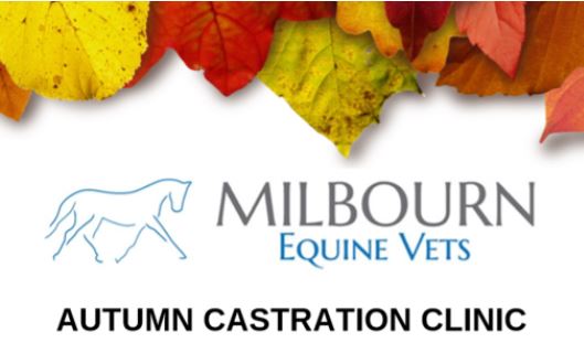Autumn Castration Clinics