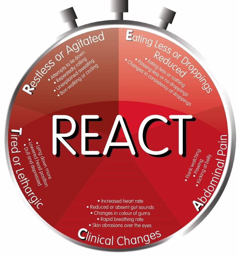 REACT Clock2