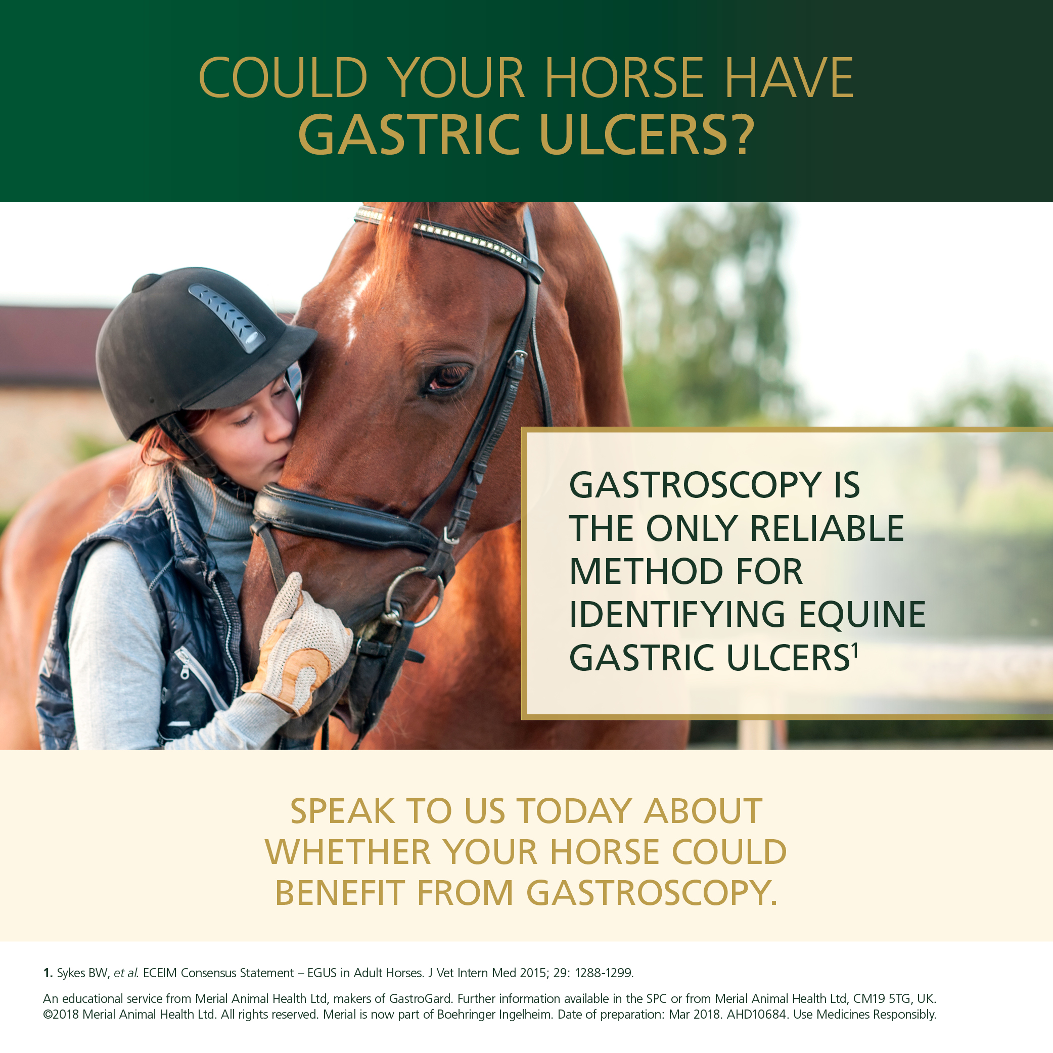 Equine Gastric Ulcers