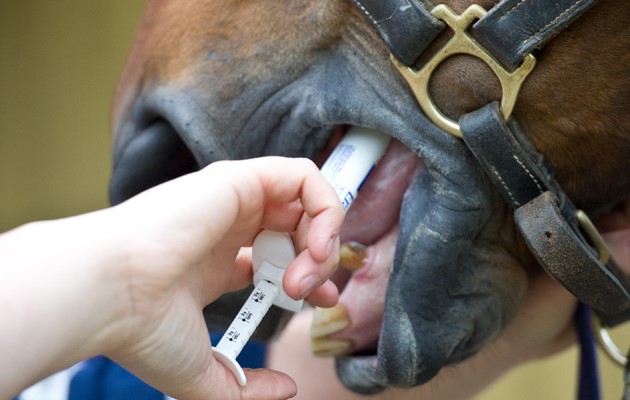Horse worming