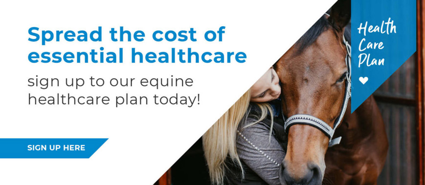 Milbourn Equine Vets provide gold standard care for their clients